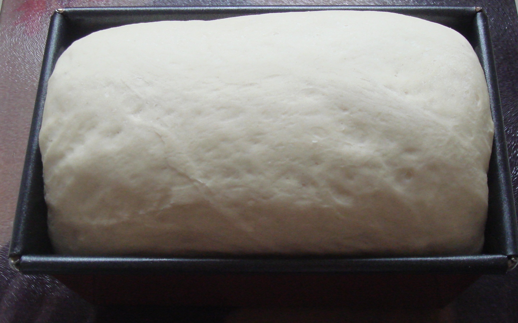 Rising bread dough in a pan