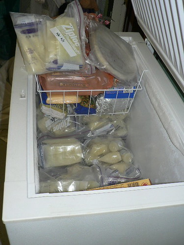 Chest freezer with food in it
